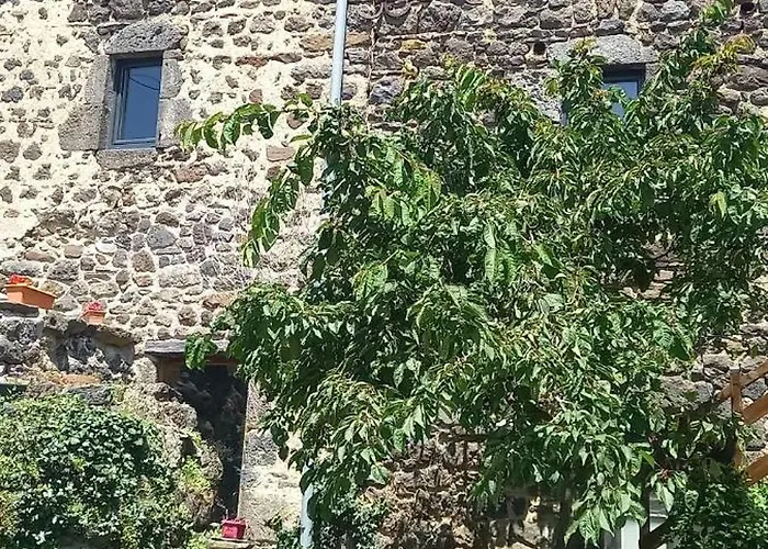 D'hote A Ternant Les Eaux Bed & Breakfast